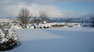 photo of the cottages