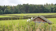 photo of the cottages