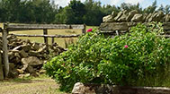 photo of the cottages