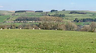 photo of the cottages