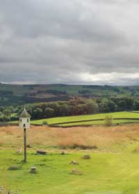 dove cottage view