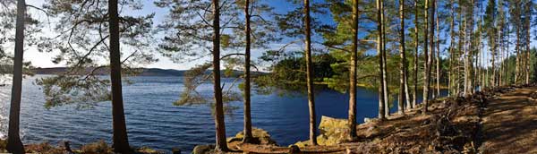 Kielder kielder